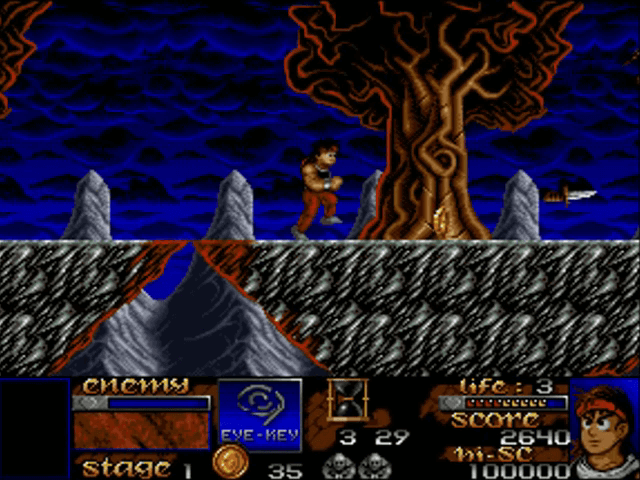 Risky Woods - AMIGA - Commodore Amiga - Ingames