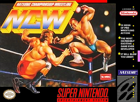 Natsume Championship Wrestling - SNES - Nintendo Super Nintendo Entertainment System